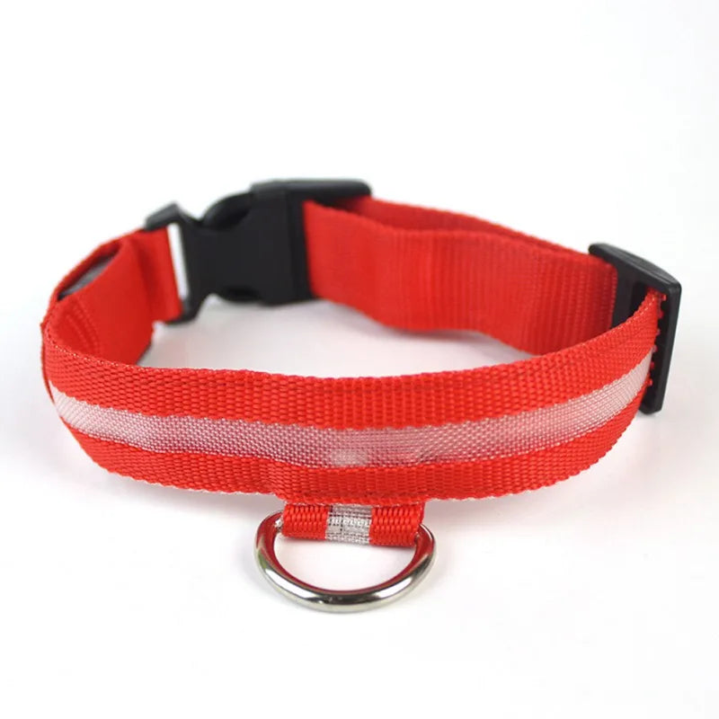 Nylon LED Pet Dog Collar USB Charging by Love My Pet