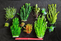 Premium Artificial Aquarium Plant Package for Fish Tank, LARGE GARDEN by Northeast Aquariums LLC