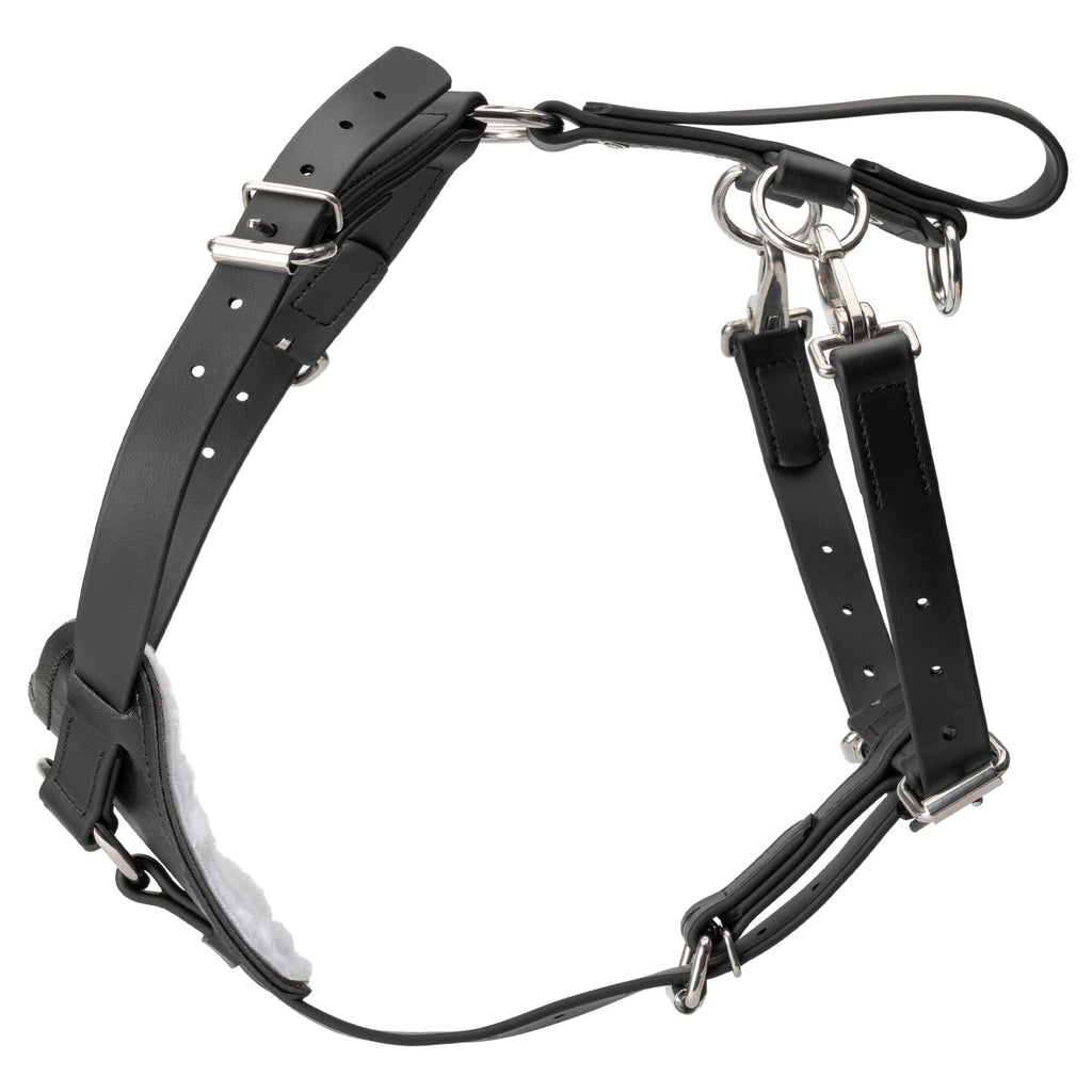 Viper Surge Biothane Working Dog Harness - Stainless Steel Hardware by Dogline