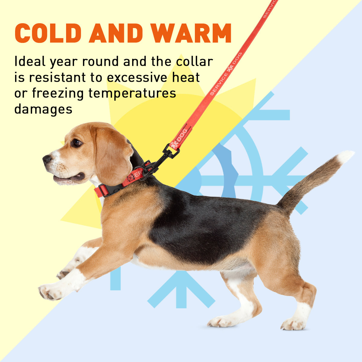 Biothane Service Dog Collar Or Leash by Dogline