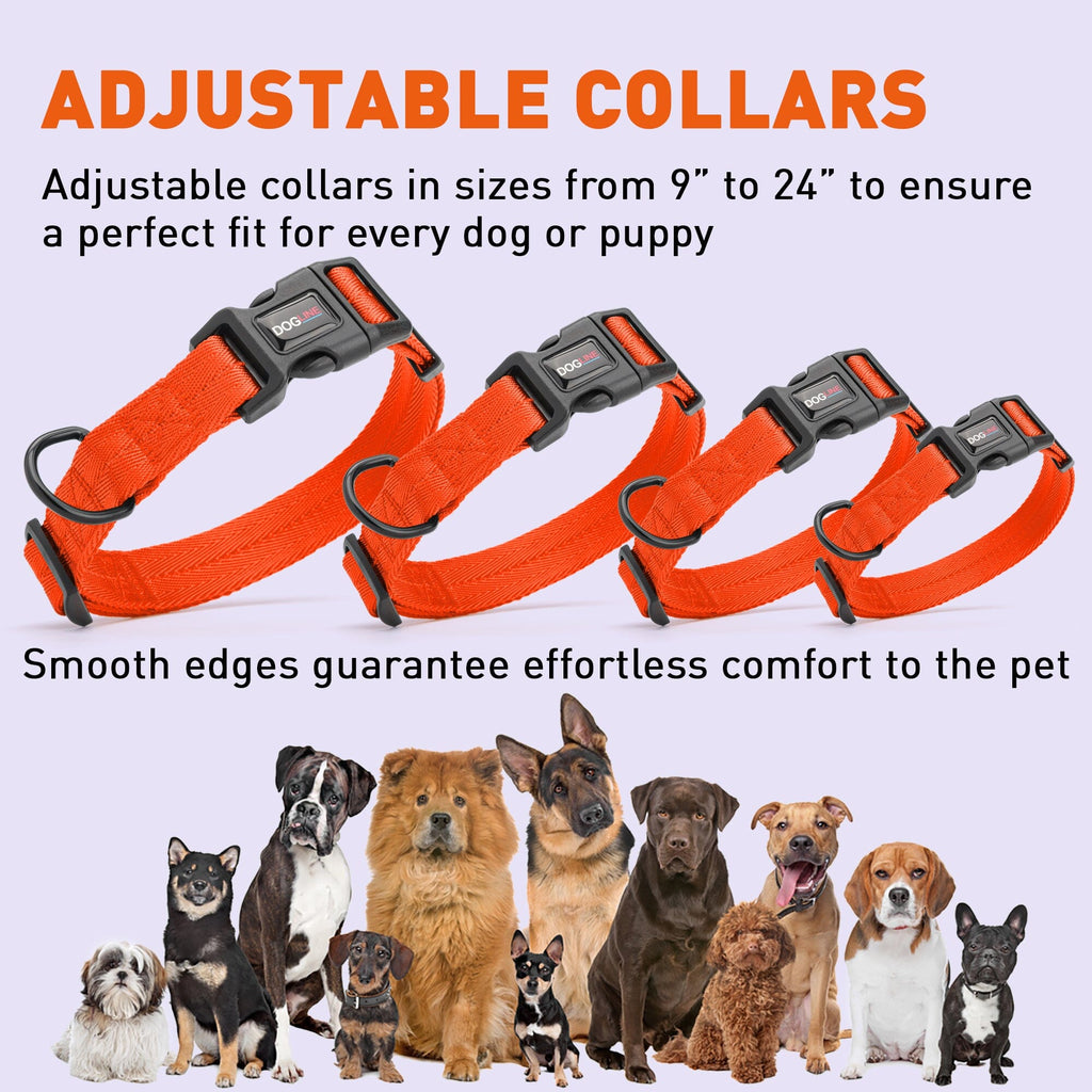 Nylon Flat Dog Collar by Dogline
