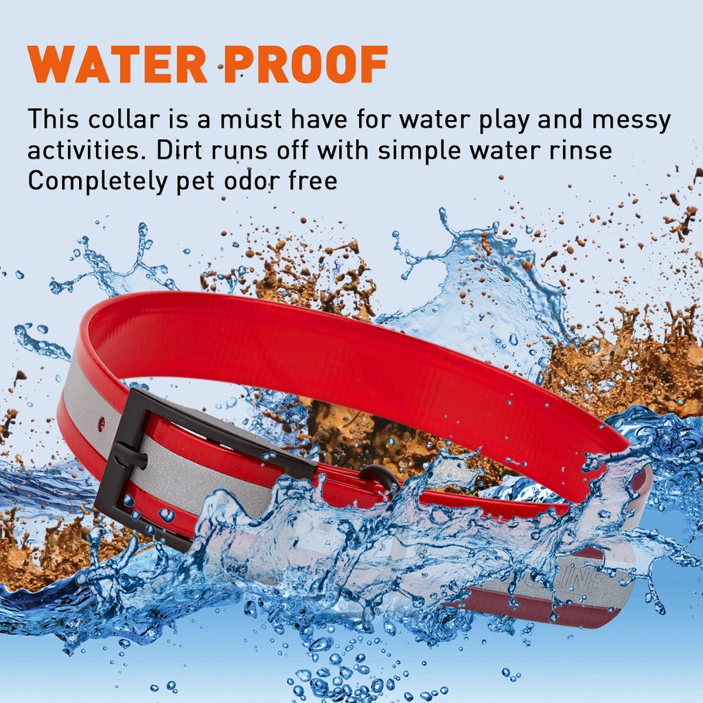 Biothane Translucent Reflective Dog Collar by Dogline