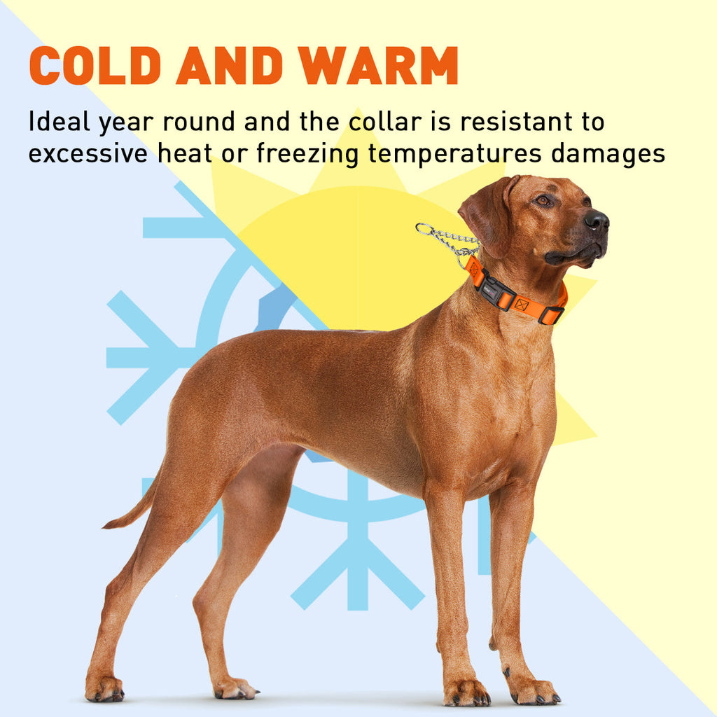 Biothane Adjustable Martingale Collar with Quick Release Buckle by Dogline
