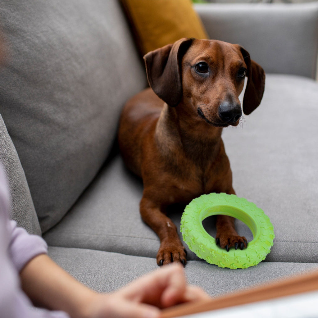 Rubber Tire Toy by Dogline