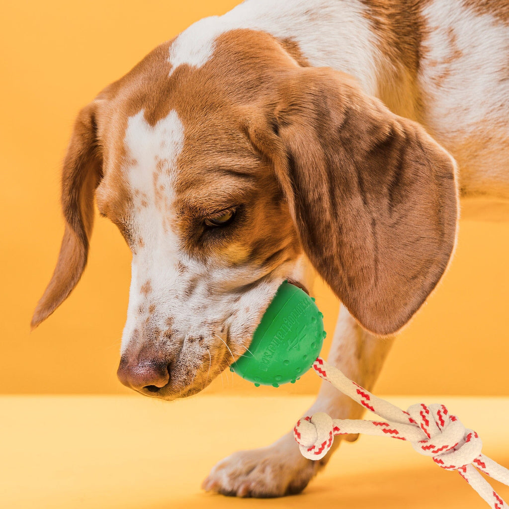 FDT Solid Rubber Dog Ball - Water Toy with Rope by Dogline
