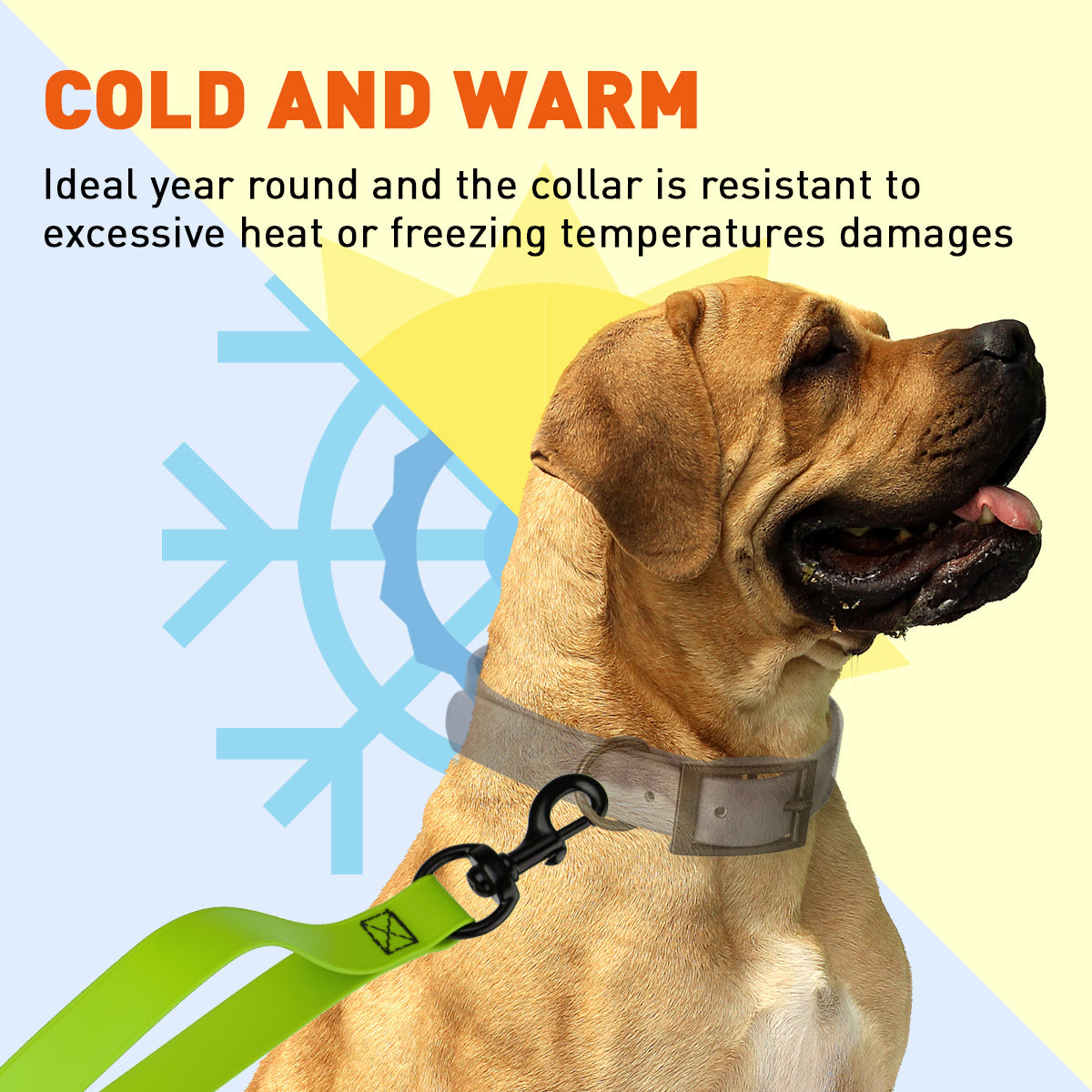 Biothane Waterproof Multi-Handle Dog Leash by Dogline