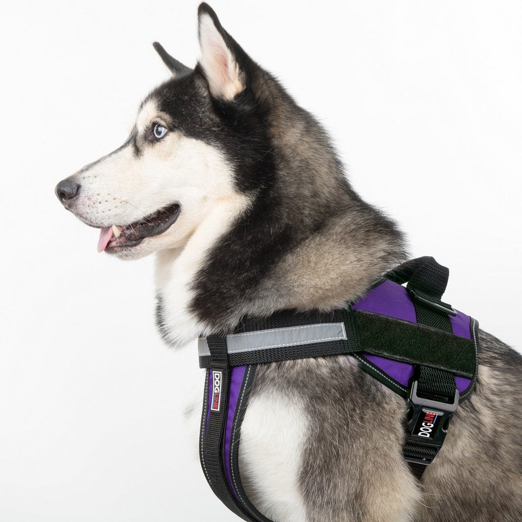 Unimax Multi-Purpose Dog Harness by Dogline