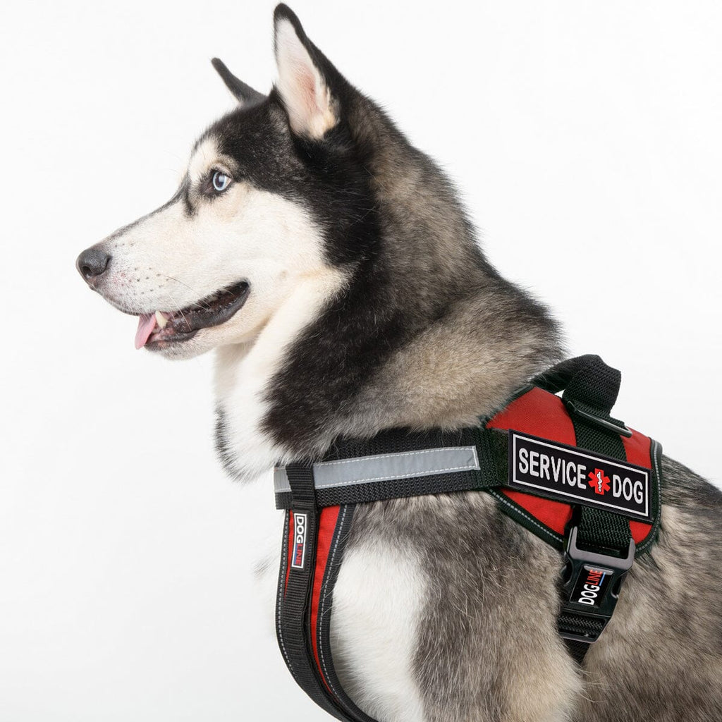 Dogline Service Dog 3D Rubber Patches by Dogline