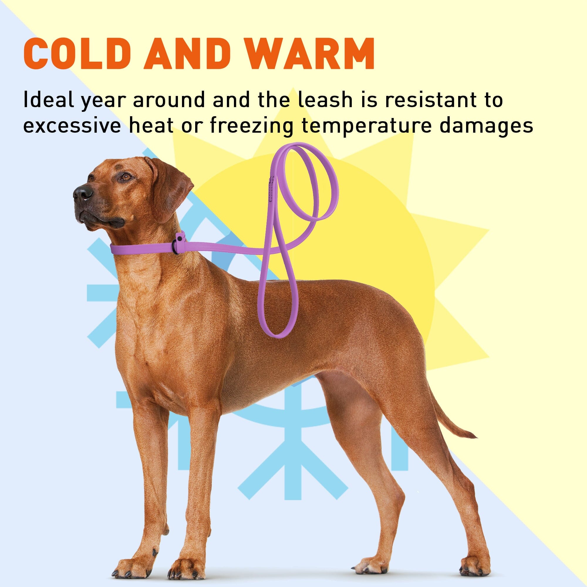 Biothane Slip Lead for Dogs, 5FT and 7FT by Dogline