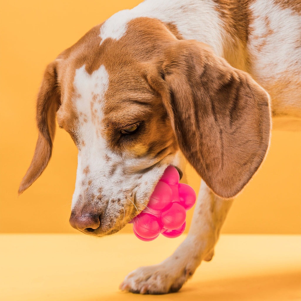 Rubber Bur Ball by Dogline