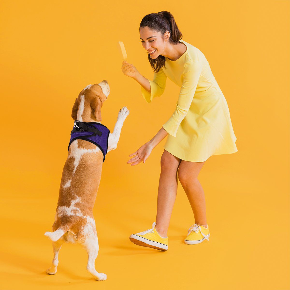 York Mesh Dog Harness by Dogline
