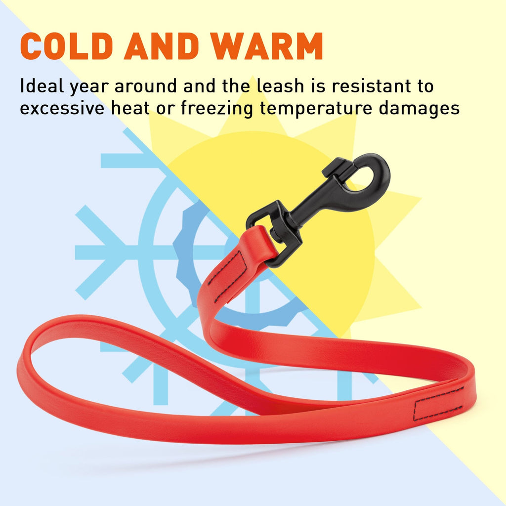 Biothane Waterproof Traffic Lead for Dogs, 2 ft by Dogline