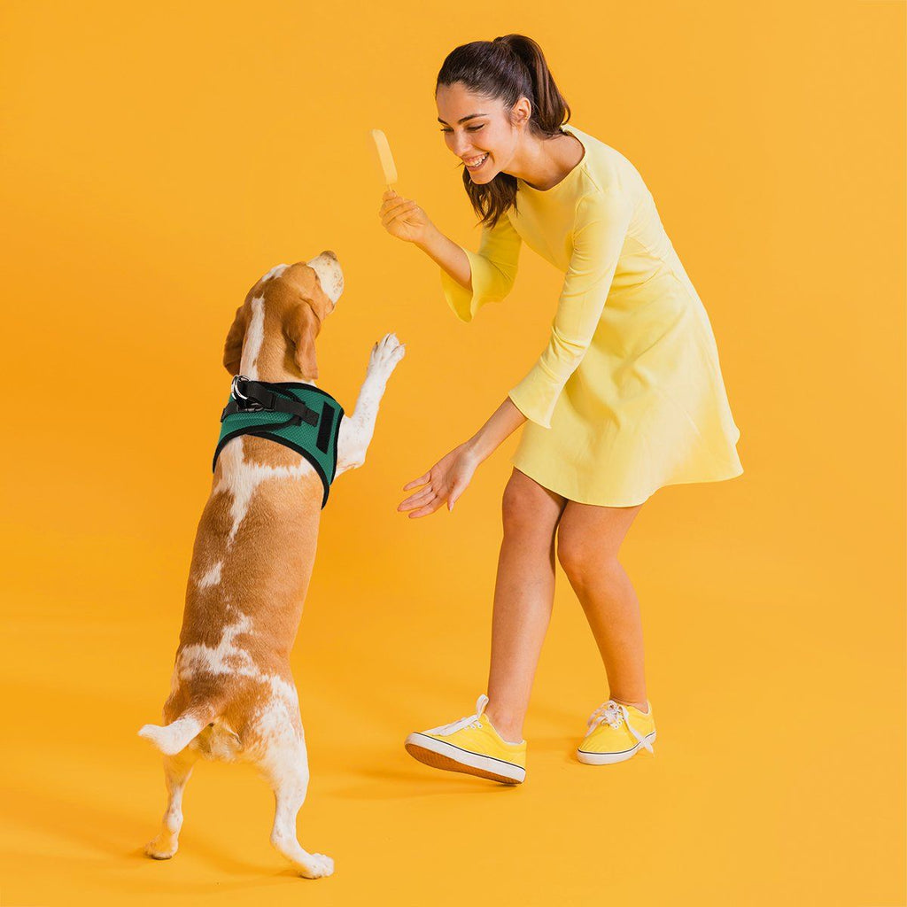 York Mesh Harness + Built-in Hook & Loop Fasteners by Dogline