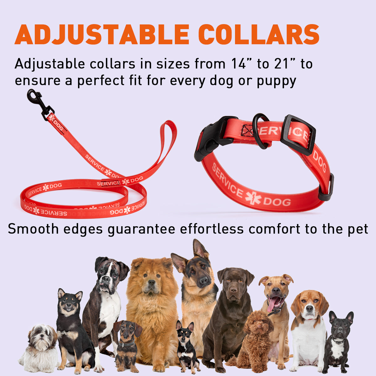 Biothane Service Dog Collar Or Leash by Dogline
