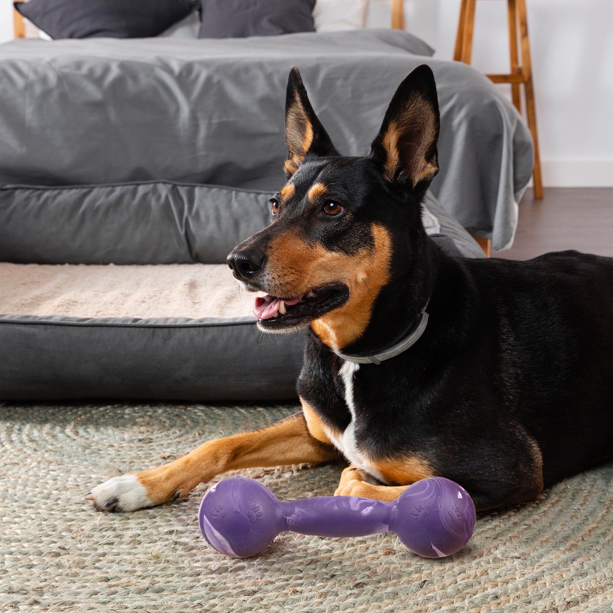 Rubber Dumbbell Toy by Dogline