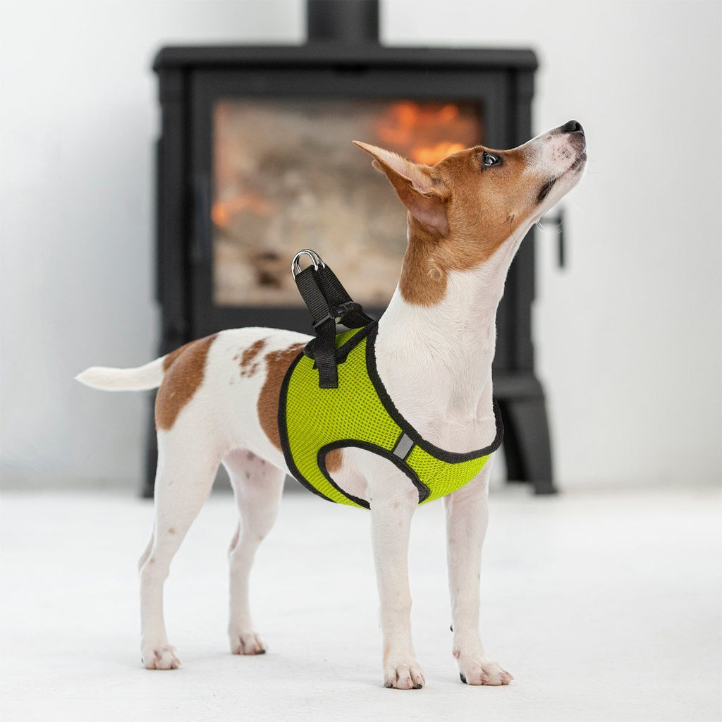 York Mesh Dog Harness by Dogline