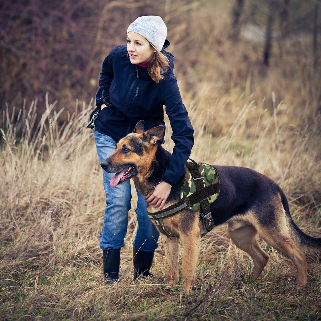 Unimax Multi-Purpose Dog Harness by Dogline