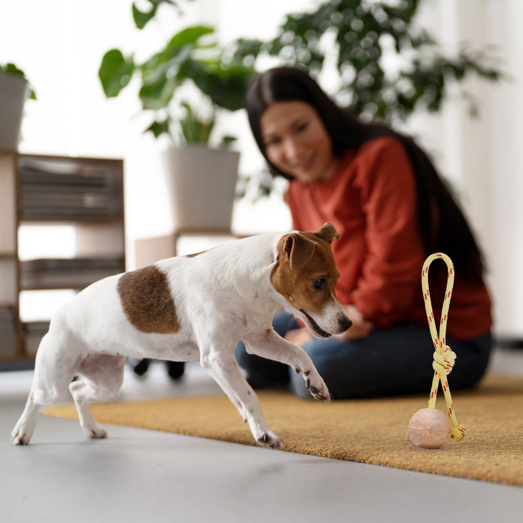 FDT Rubber Dog Ball on Rope, Small - Diameter 2" (5 cm) by Dogline