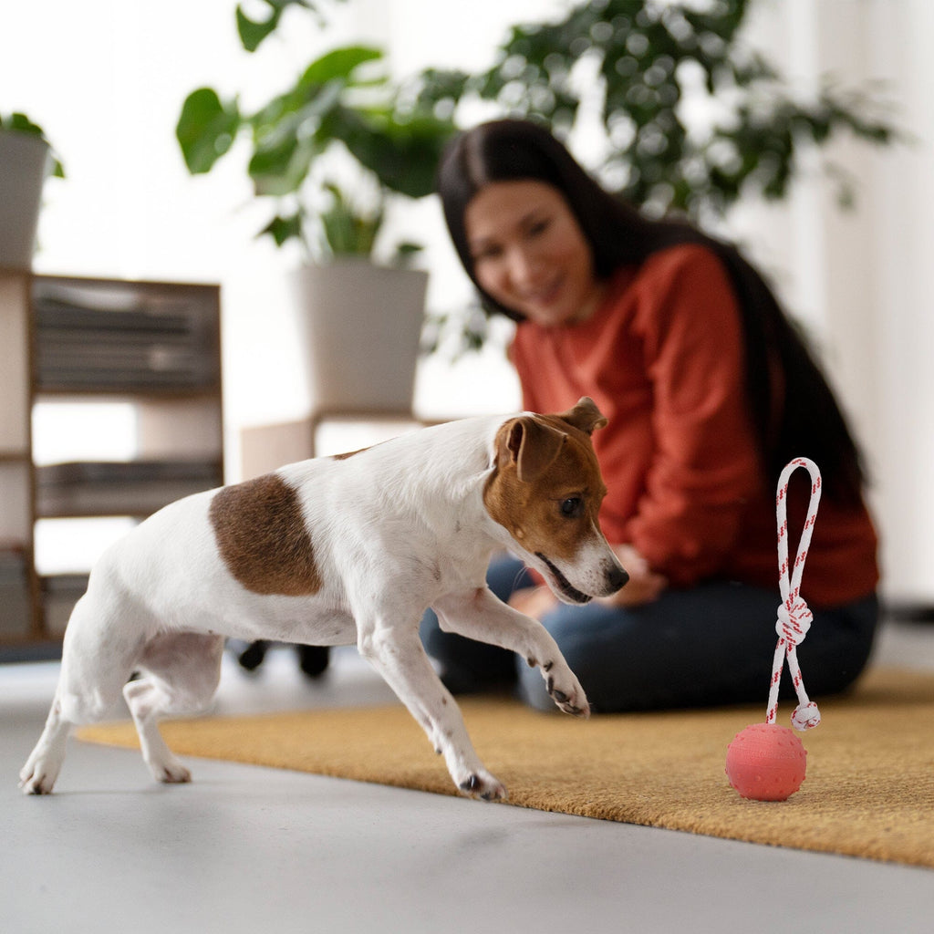 FDT Solid Rubber Dog Ball - Water Toy with Rope by Dogline