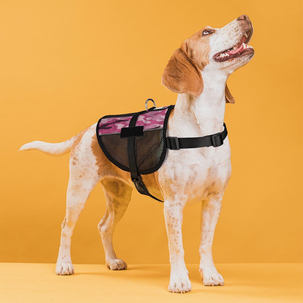 MaxAire Mesh Dog Vest Harness by Dogline