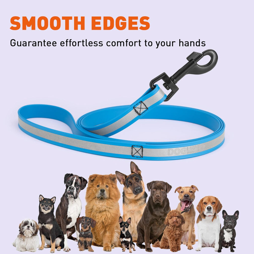 Reflective Biothane Dog Leash with Black Hardware by Dogline
