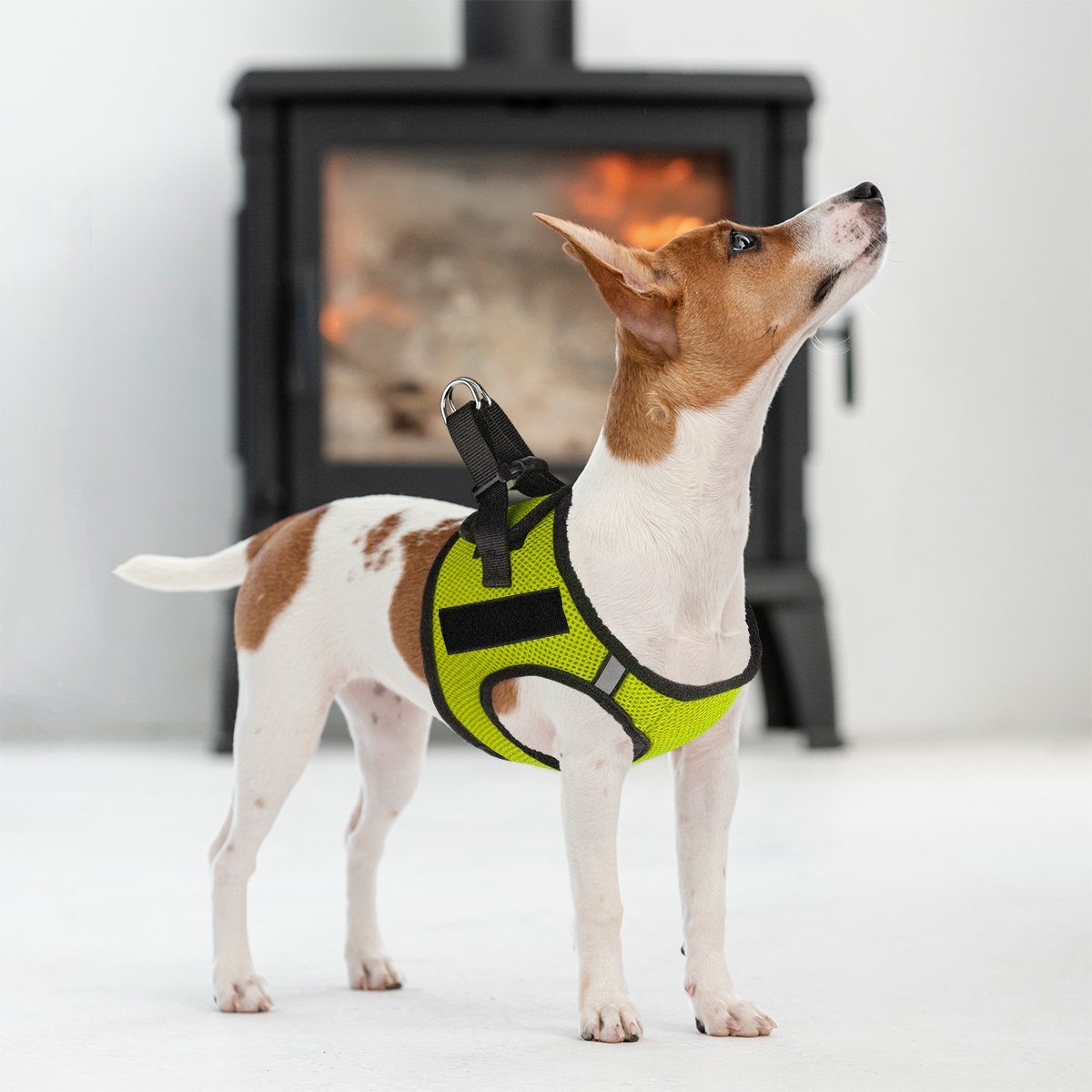 York Mesh Harness + Built-in Hook & Loop Fasteners by Dogline