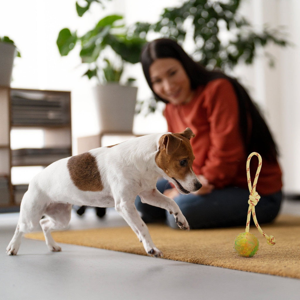 FDT Rubber Dog Ball on Rope, Medium - Diameter 2.3" (6 cm) by Dogline