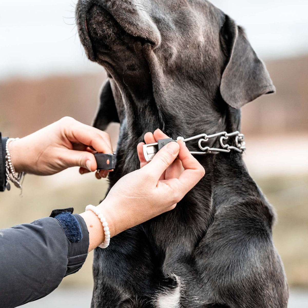 Herm Sprenger - ClicLock Quick Release Buckle - Stainless Steel by Dogline