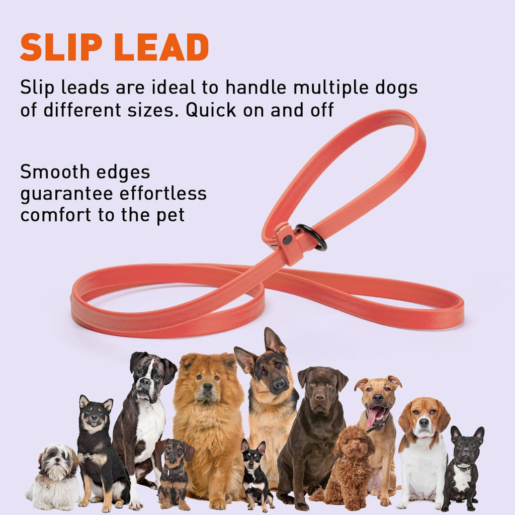 Biothane Slip Lead for Dogs, 5FT and 7FT by Dogline