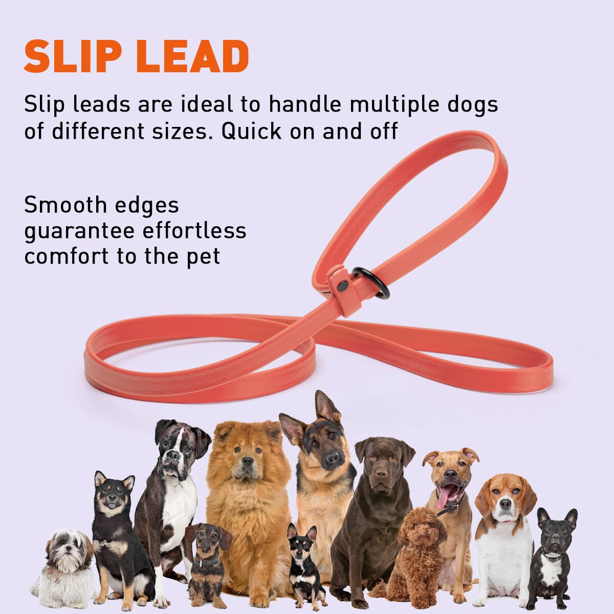 Biothane Slip Lead for Dogs, 5FT and 7FT by Dogline