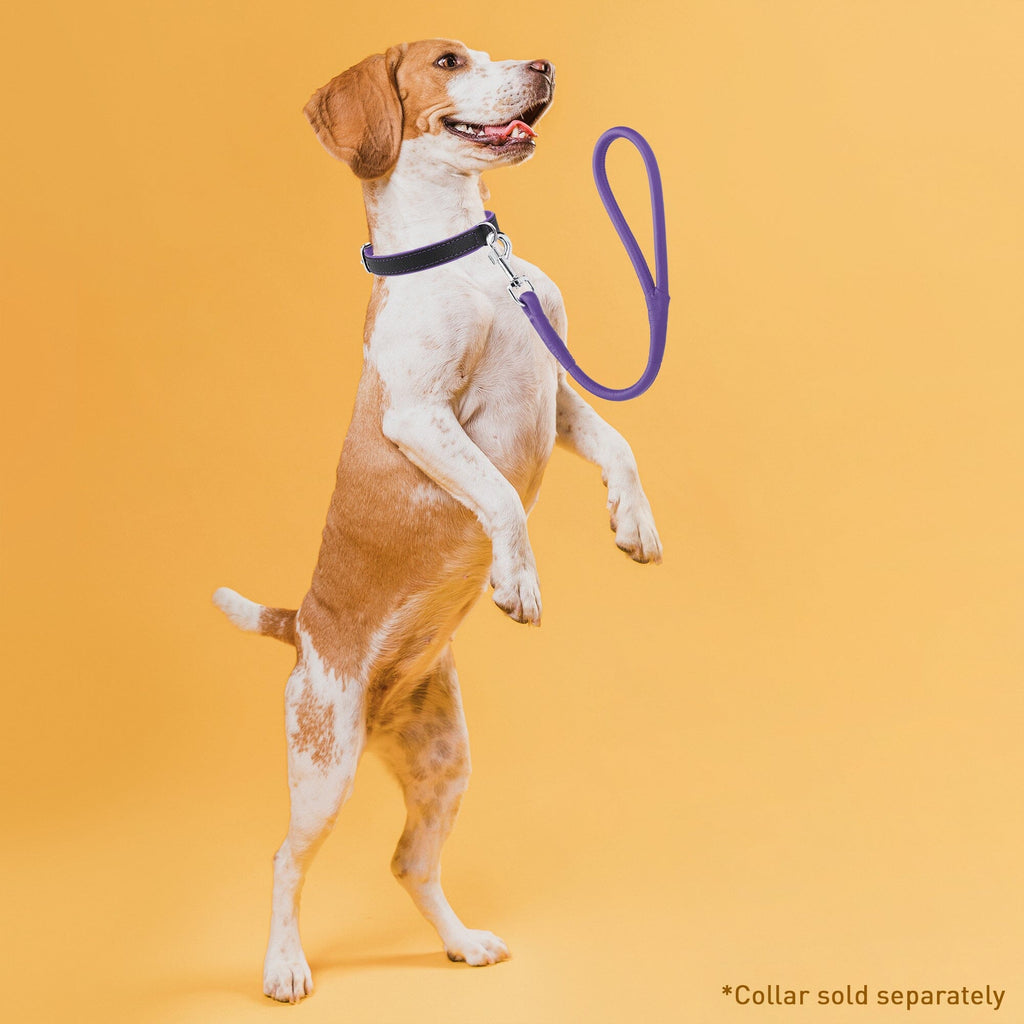 Soft Leather Round Traffic Lead by Dogline