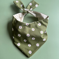 Daisy Dog Bandana by Happy Tails Outfitters