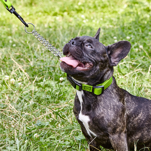 Biothane Adjustable Martingale Collar with Quick Release Buckle by Dogline