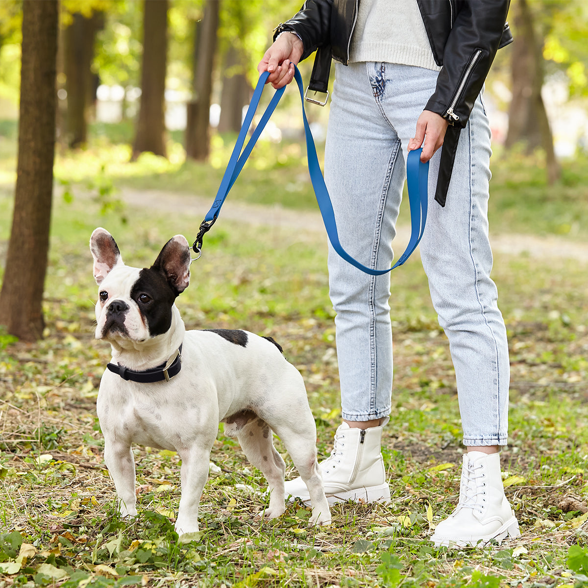 Biothane Waterproof Multi-Handle Dog Leash by Dogline