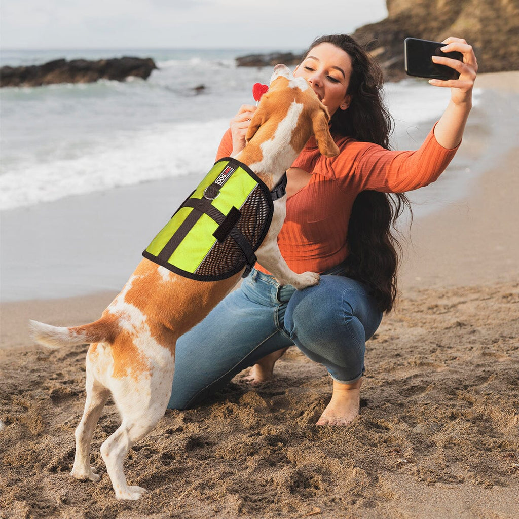 MaxAire Mesh Dog Vest Harness by Dogline