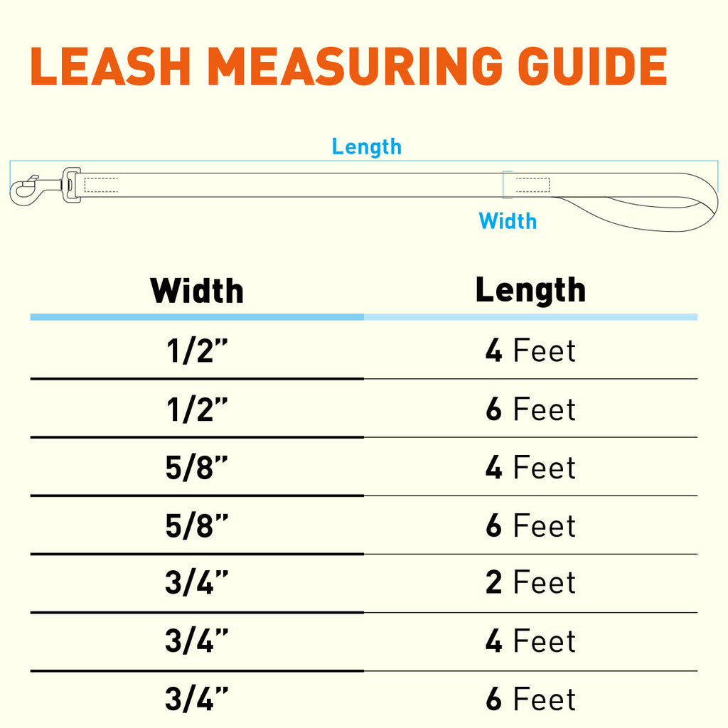 Biothane Waterproof Dog Leash, 4 ft by Dogline