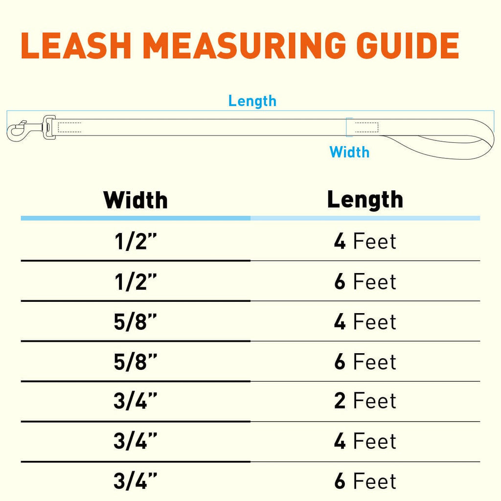 Biothane Waterproof Traffic Lead for Dogs, 2 ft by Dogline