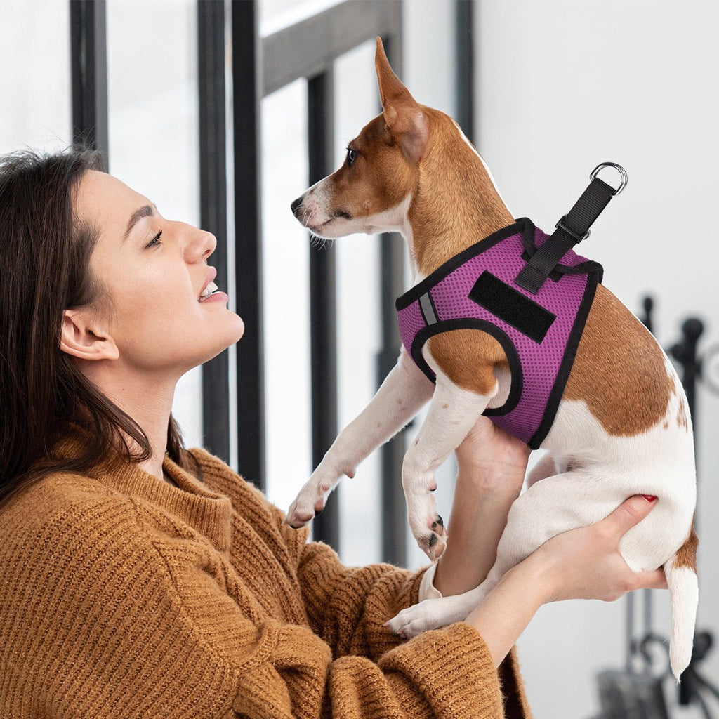 York Mesh Harness + Built-in Hook & Loop Fasteners by Dogline