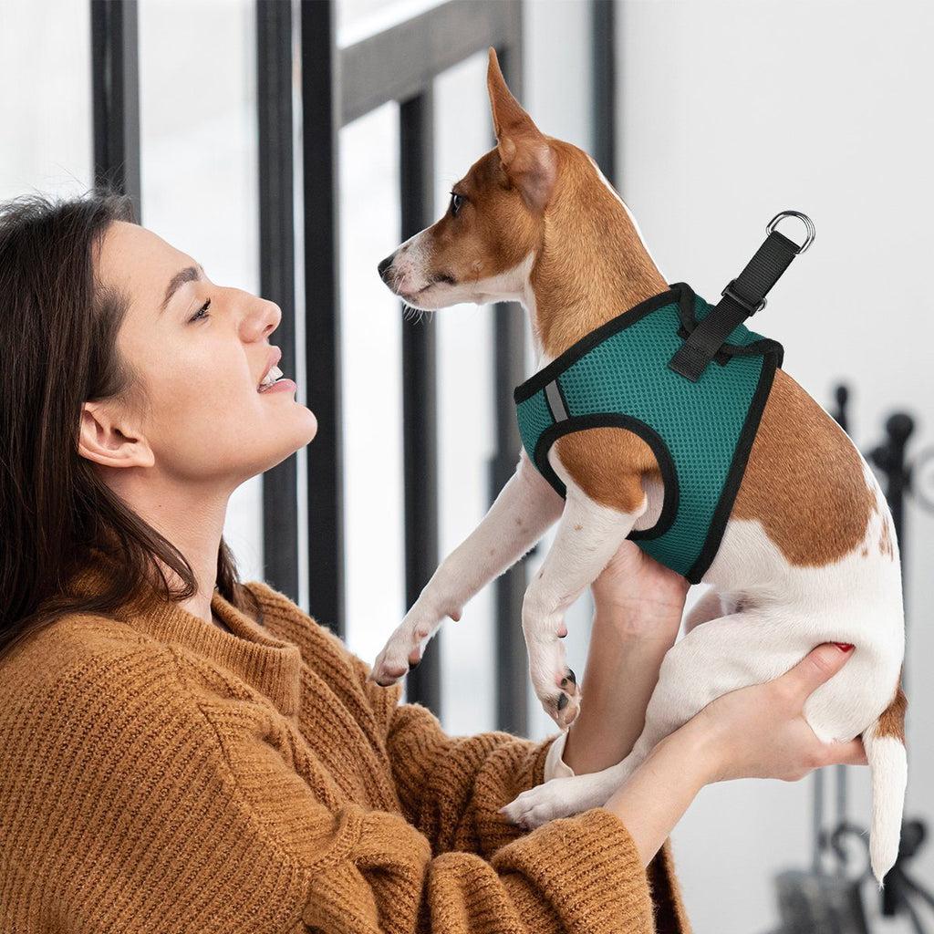 York Mesh Dog Harness by Dogline