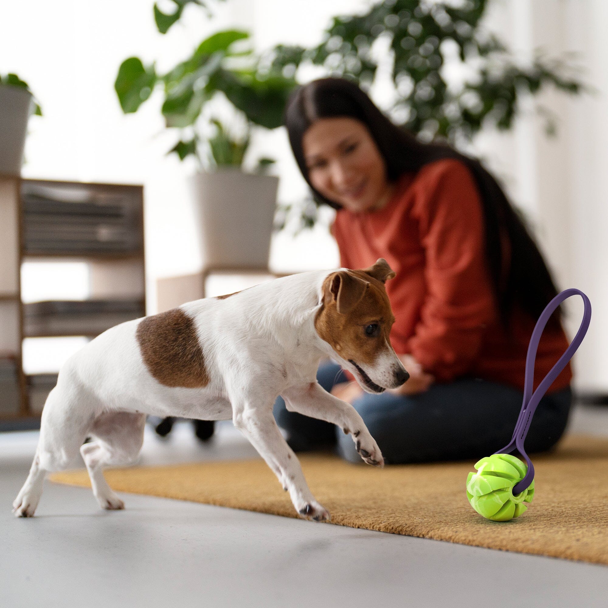 Rubber Spiral Ball with Biothane Handle by Dogline