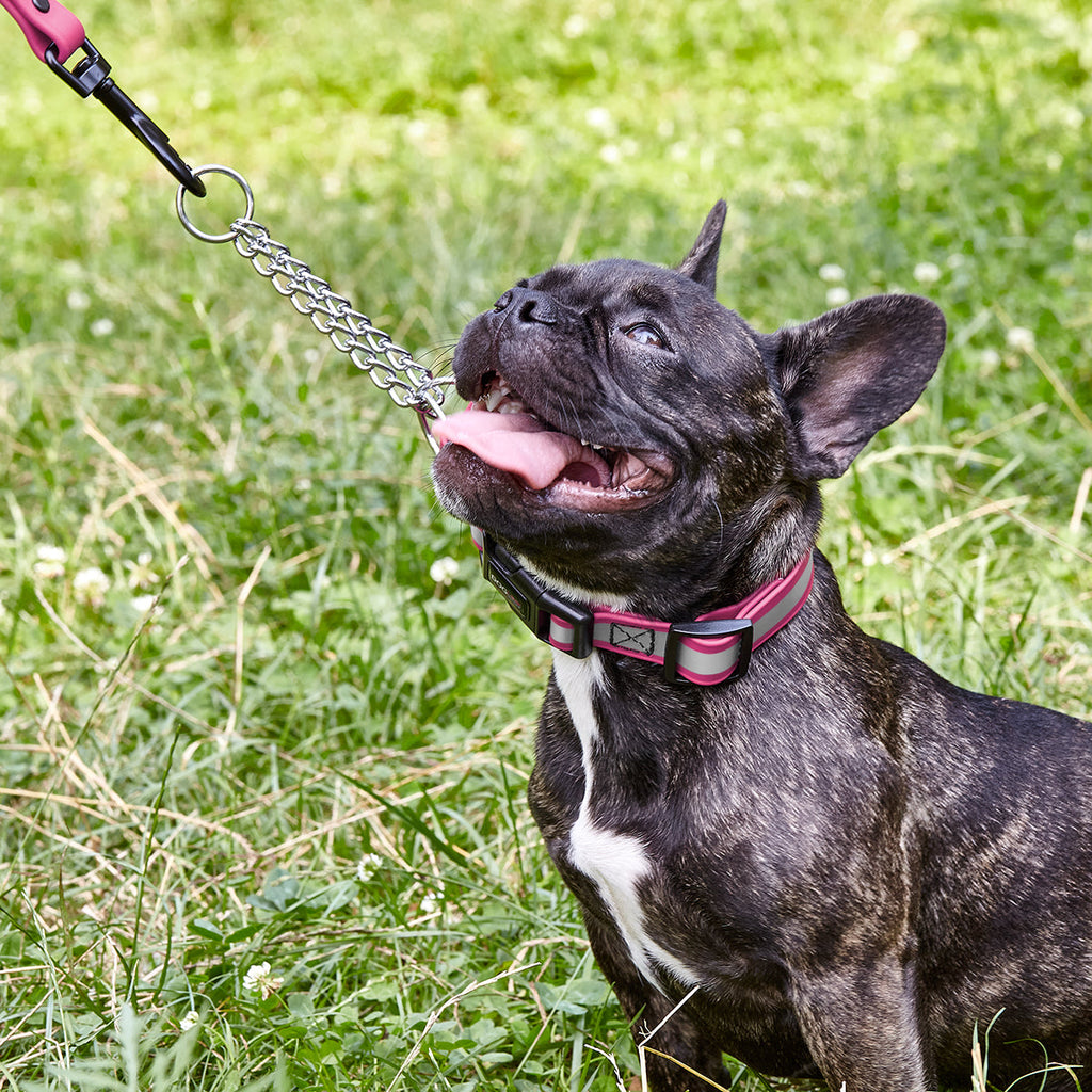 Reflective Biothane Martingale Collar with Quick Release Buckle by Dogline