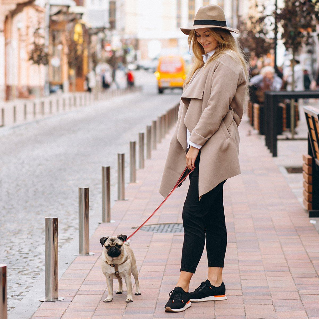 Soft Leather Round Dog Lead by Dogline