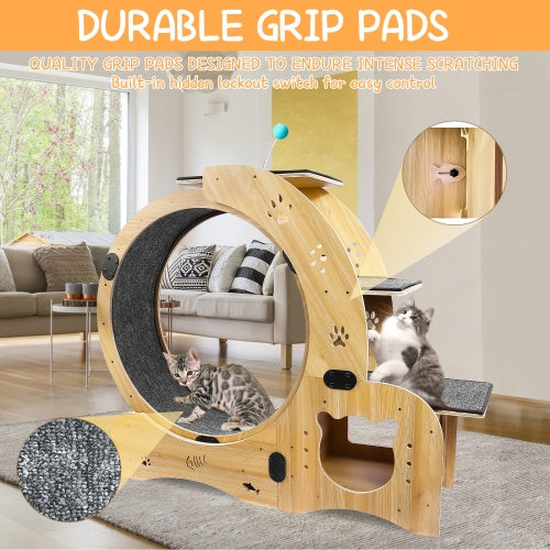 Cat Wheel 6-in-1 Cat Fitness Wheel by Love My Pet