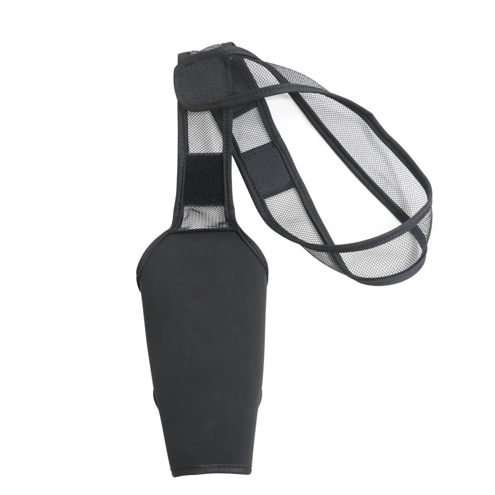 Universal Hip And Knee Brace And Protector For Dogs by Love My Pet