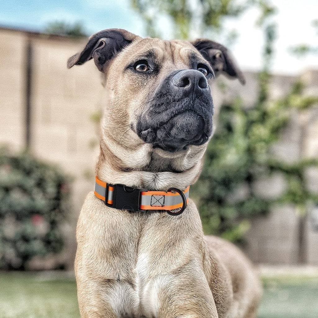Dogline Biothane Reflective Dog Collar with Quick Release Buckle by Dogline