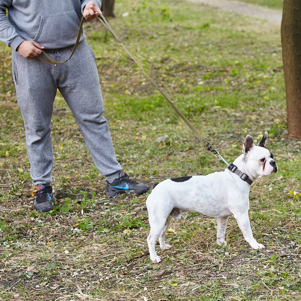 Biothane Waterproof Multi-Handle Dog Leash by Dogline