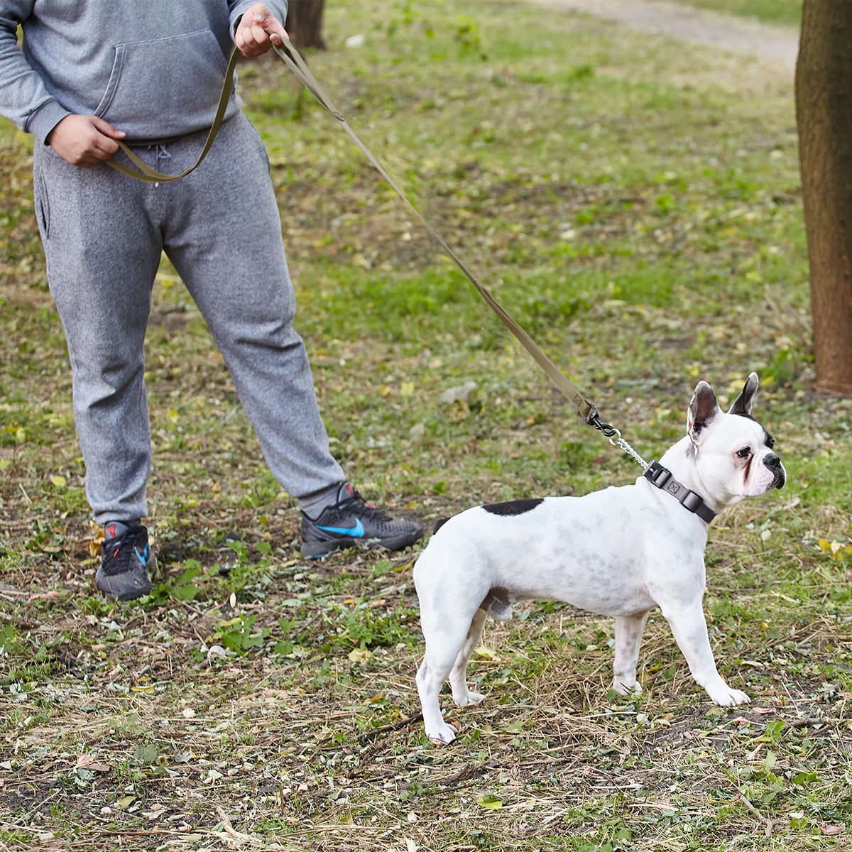 Biothane Waterproof Multi-Handle Dog Leash by Dogline