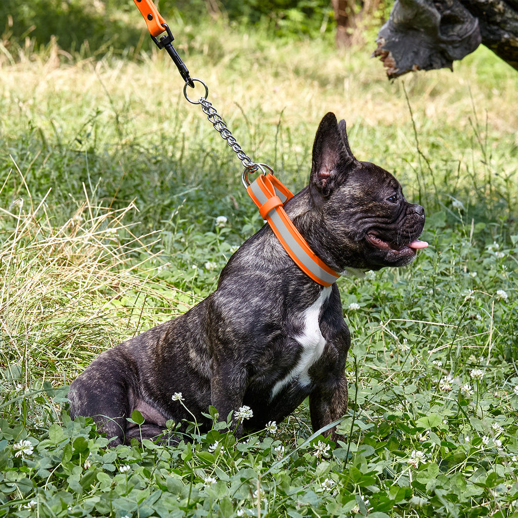 Reflective Biothane Martingale Collar with Quick Release Buckle by Dogline