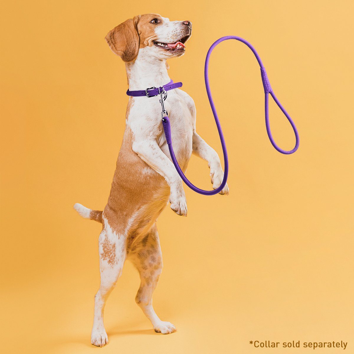 Soft Leather Round Dog Lead by Dogline