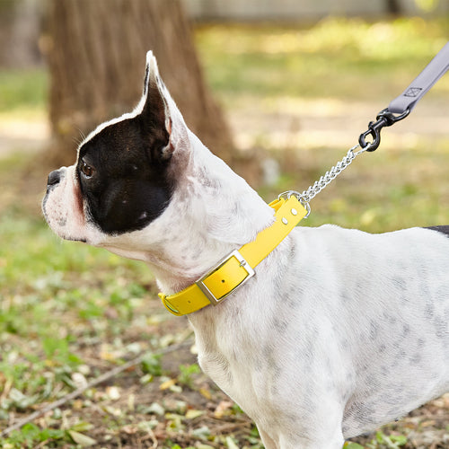 Biothane Adjustable Martingale Collar with Metal Buckle by Dogline